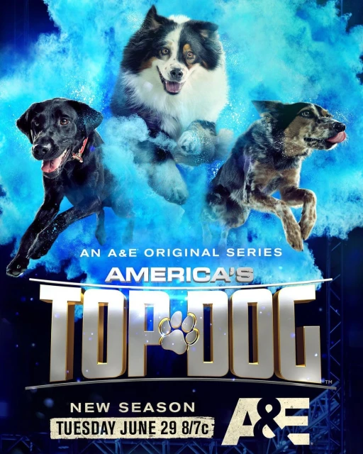 Poster for America's Top Dog featuring three dogs floating in a blue smoky background, with show title and airdate information.
