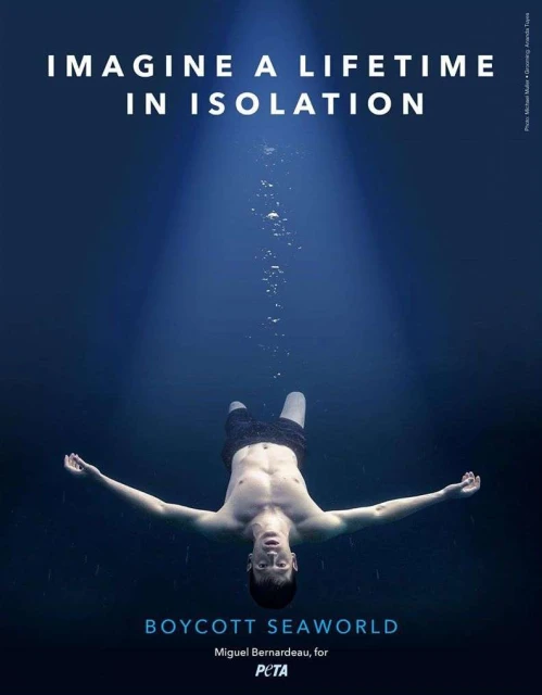 An underwater view captures a man floating with outstretched arms, promoting a boycott of Seaworld, against a deep blue background.