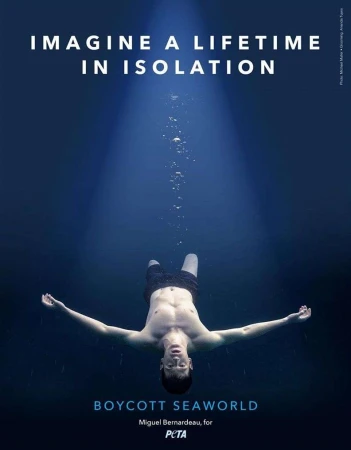 An underwater view captures a man floating with outstretched arms, promoting a boycott of Seaworld, against a deep blue background.