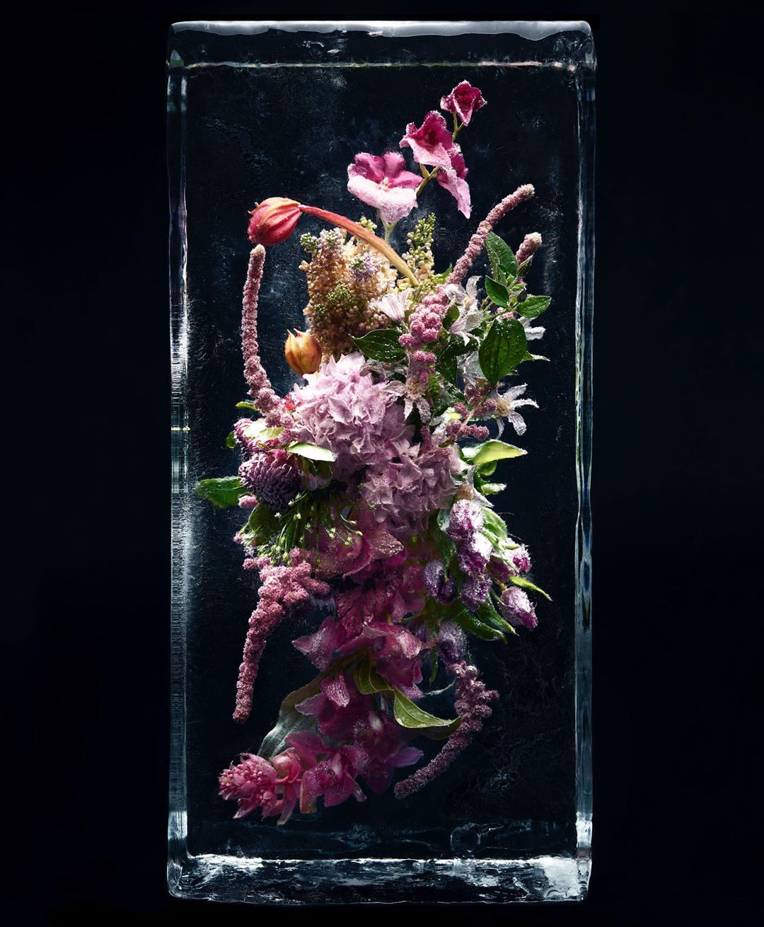 Floral arrangement of pink, purple, and green flowers frozen in a clear rectangular block of ice against a dark background.