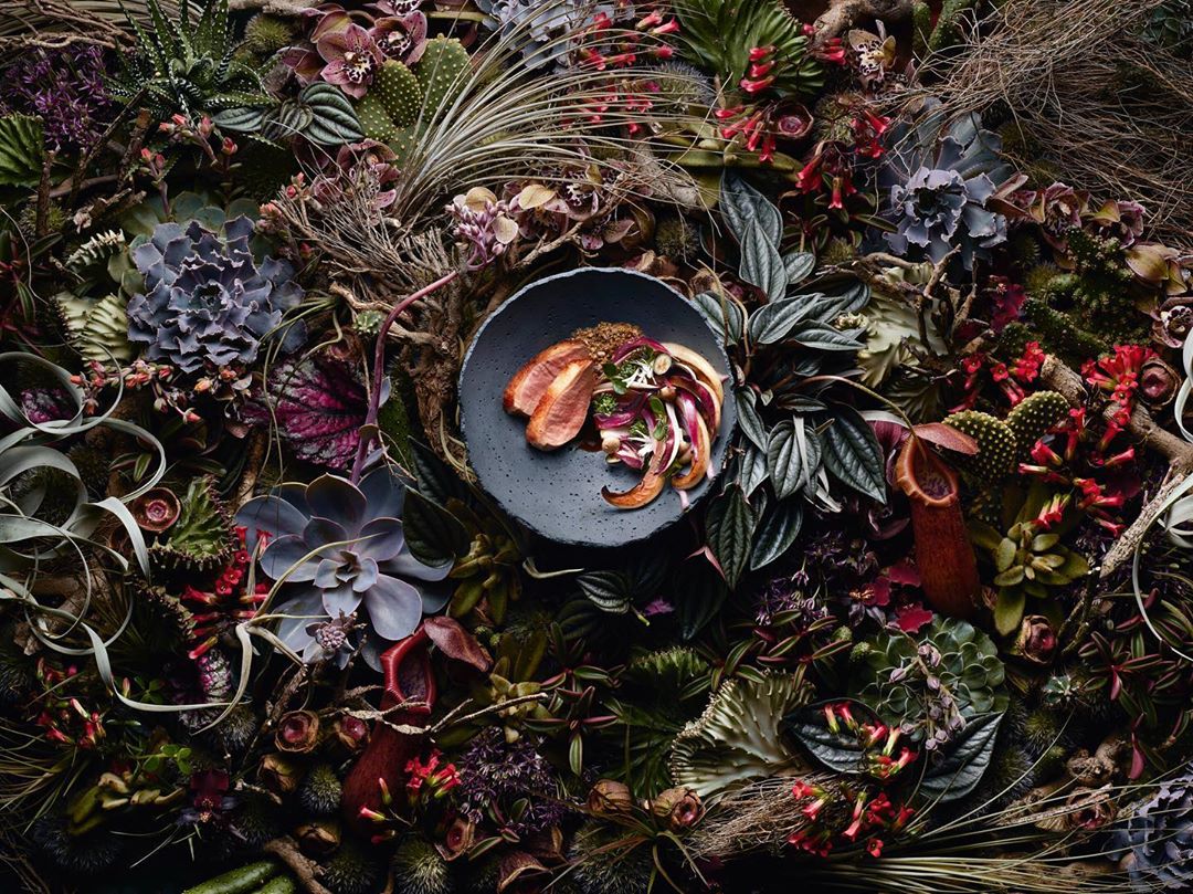 Overhead shot of a grey plate with seared duck and radicchio salad surrounded by succulents, cacti, and various flowers.
