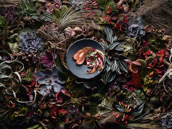 Overhead shot of a grey plate with seared duck and radicchio salad surrounded by succulents, cacti, and various flowers.