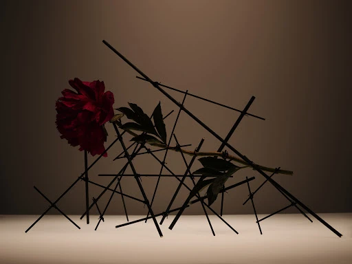 Dramatic still life of a red peony blossom with dark green leaves, supported by a network of crisscrossing black sticks in dim studio light.