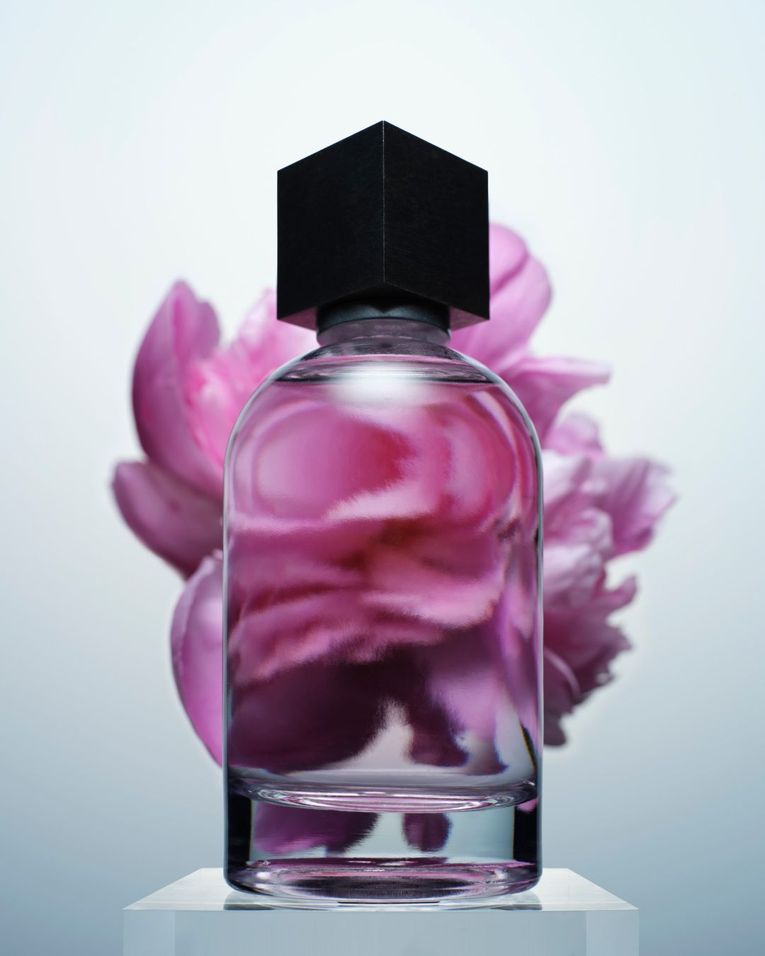 Glass perfume bottle with black cubic cap standing on a white pedestal before large pink flower petals
