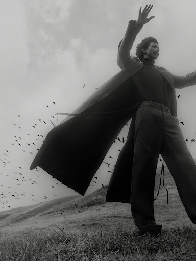 Monochrome portrait of a man in a long coat standing on a grassy hill with outstretched arms as birds fly across the cloudy sky.