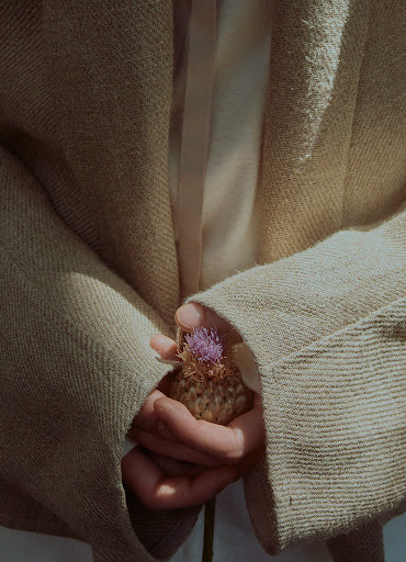 Close-up of hands holding a purple thistle flower against a neutral-toned background, offering a gentle and intimate feel.