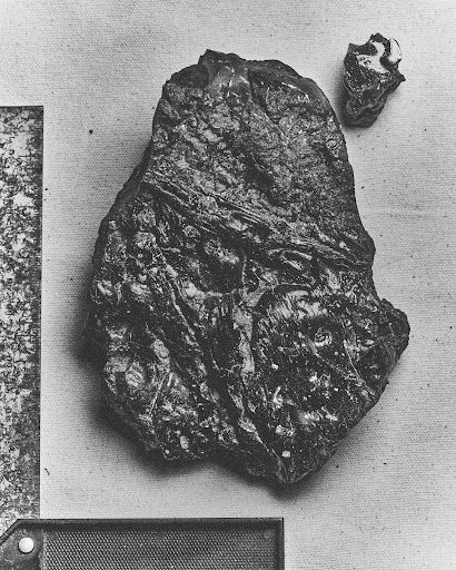 Black and white photograph of geological rock specimen with scale bar on fabric background