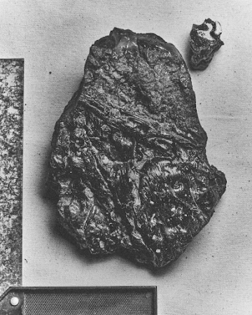 Black and white photograph of geological rock specimen with scale bar on fabric background