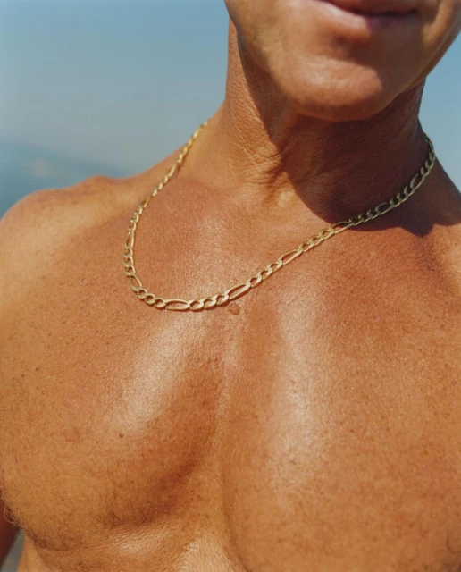 Chest and neck of a male torso, wearing a gold chain against a blue sky and body of water backdrop in a natural outdoor setting.
