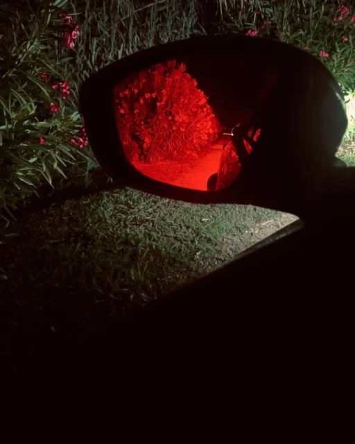 Car side mirror showing vibrant red reflection of trees and foliage at night, with surrounding greenery visible.