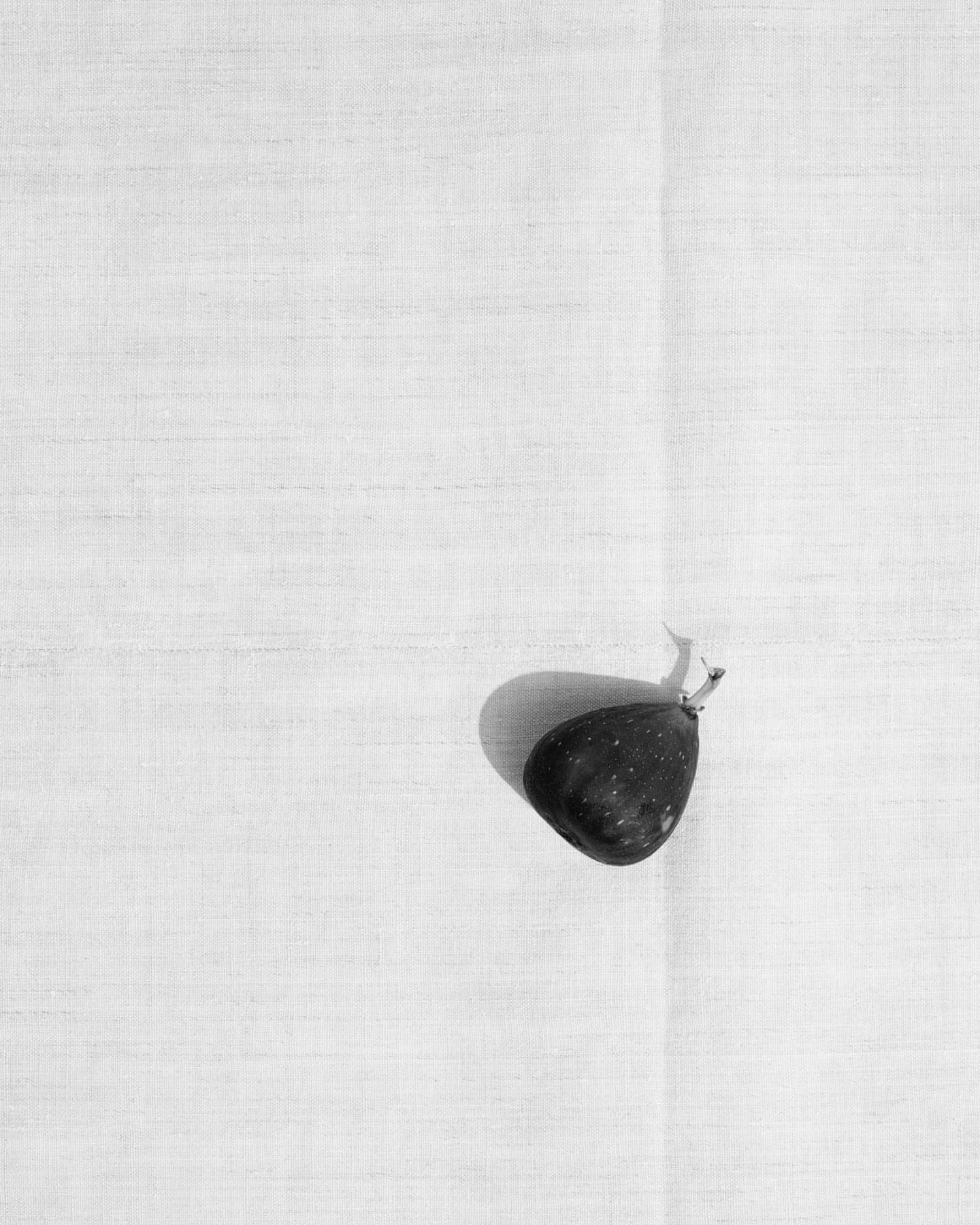 Single fig positioned on white textured fabric. The dark-colored fruit creates a strong focal point against the textured background.