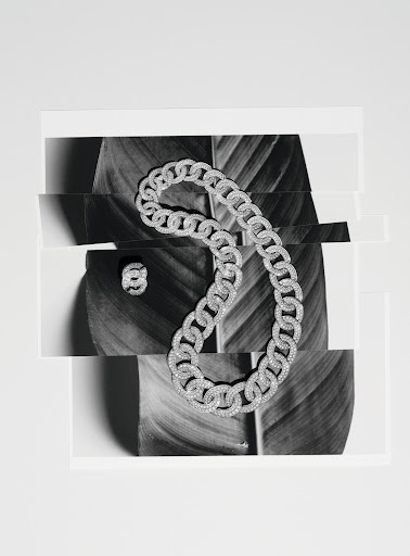 A silver chain link necklace and matching ring rest on a fragmented black and white photo of a tropical leaf against a white background.