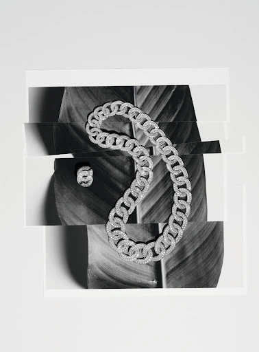 A silver chain link necklace and matching ring rest on a fragmented black and white photo of a tropical leaf against a white background.