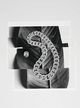A silver chain link necklace and matching ring rest on a fragmented black and white photo of a tropical leaf against a white background.
