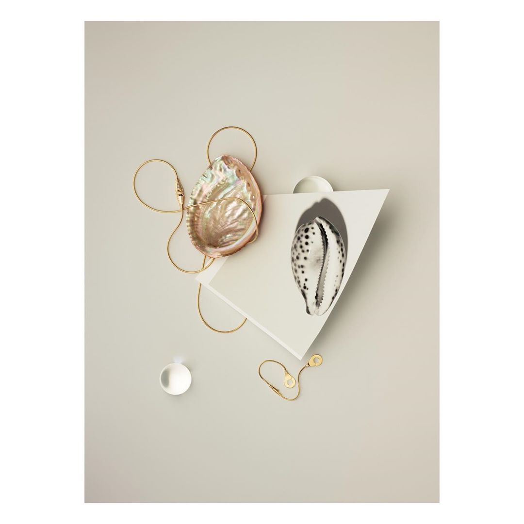 Still life photo of a conch shell, a white shell on a geometric base, gold metal wires, and a clear disc on a light beige background.