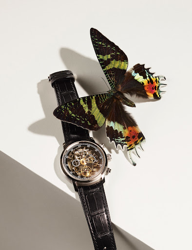 Closeup of a skeleton wristwatch with a leather band alongside a colorful butterfly against a clean white background, studio lighting.