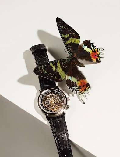 Closeup of a skeleton wristwatch with a leather band alongside a colorful butterfly against a clean white background, studio lighting.