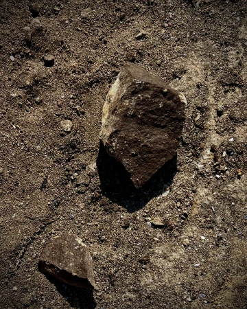 Two dark brown rocks resting on rough dry soil with sharp morning shadows cast downwards.