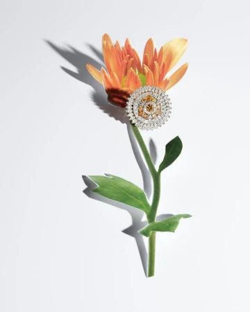 Still life of an orange flower supporting a round, decorative yellow and white jeweled brooch, on a white surface with a subtle shadow.