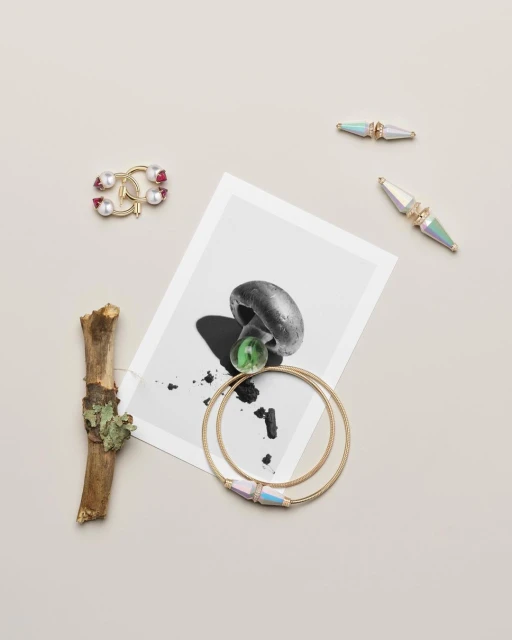 Flat lay of a mushroom photo, twig, and gold jewelry on a light surface creating a minimalist and aesthetic product display.