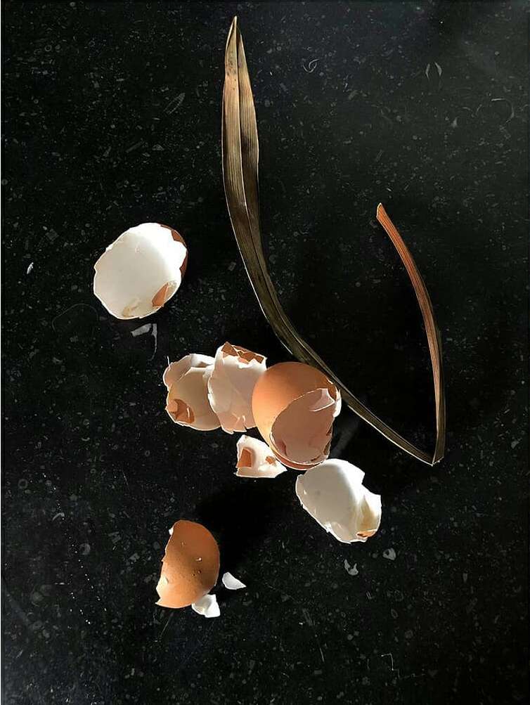 Still life photograph of cracked eggshells and a gold-toned metal object on a speckled black surface, creating a minimalist composition.