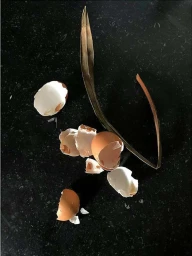 Scattered brown and white eggshells arranged next to a dry curved leaf on a dark speckled surface.