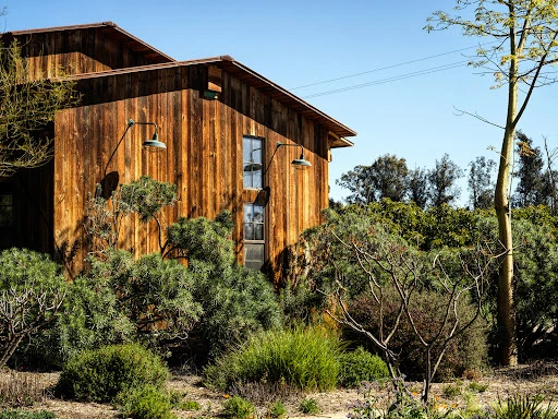 Exterior view of a rustic wooden building with a metal roof, surrounded by lush greenery under a bright blue sky in daylight.