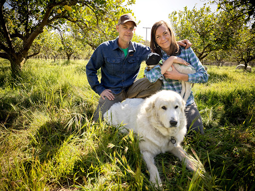 Couple outdoors with sheep and dog in an orchard landscape. Woman holding a small lamb while a Great Pyrenees dog lies in the grass.