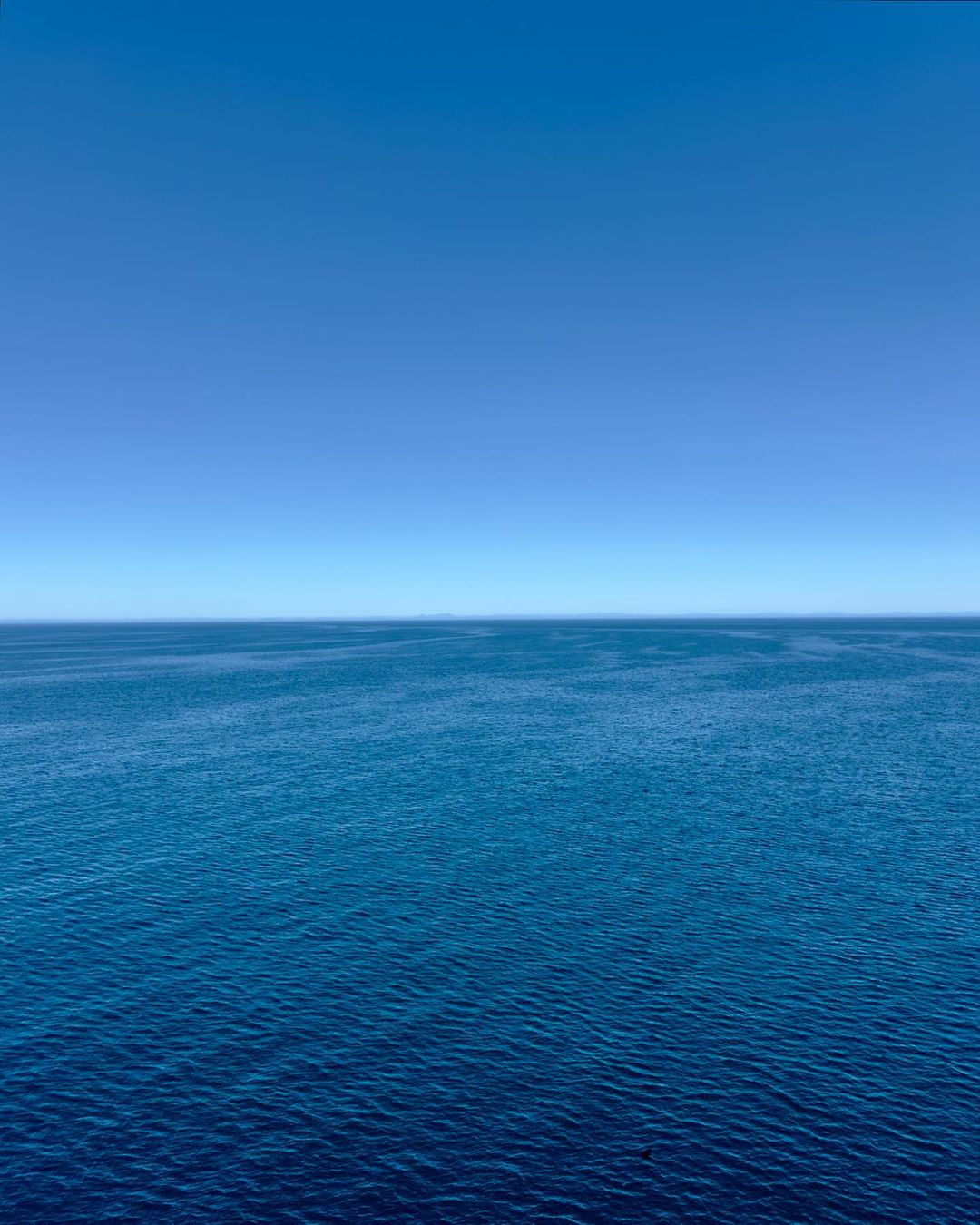 Open ocean with calm, dark-blue water and a clear light-blue sky fills the frame in a serene nature scene.