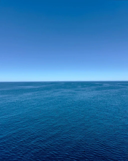 Open ocean with calm, dark-blue water and a clear light-blue sky fills the frame in a serene nature scene.