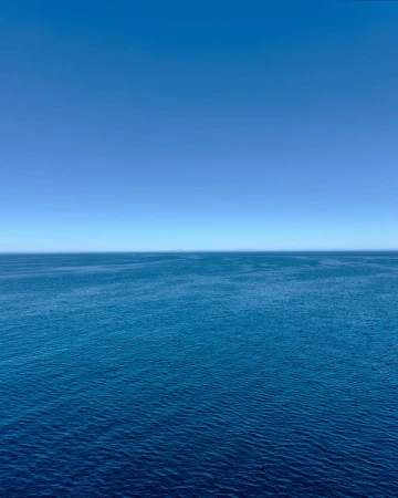 Open ocean with calm, dark-blue water and a clear light-blue sky fills the frame in a serene nature scene.