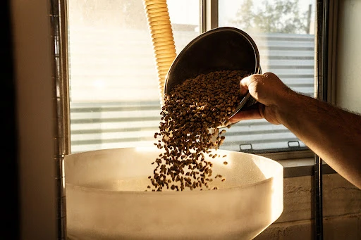 A person pours coffee beans from a black bowl into a white container. The photo is brightly lit with natural light from a window.