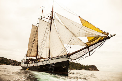 Tall ship 'Sea Pearl' sailing on calm ocean water. Features sails, masts, rigging, and wake, with a coastline in the background.
