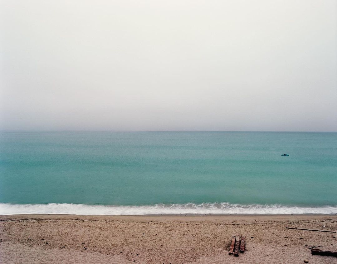 Panoramic vista of the ocean meeting a sandy beach under an overcast sky, with driftwood logs in the foreground.