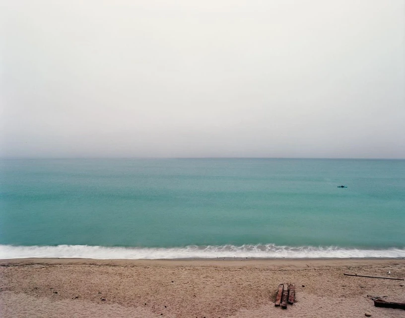 Panoramic vista of the ocean meeting a sandy beach under an overcast sky, with driftwood logs in the foreground.