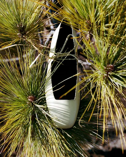 An eye-level shot showcases a cream-colored loafer perched among lush green pine needles, highlighted by natural sunlight, creating a whimsical outdoor fashion scene.