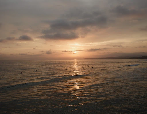 Ocean sunset with silhouetted surfers in the water, creating a serene and atmospheric coastal scene with a warm color palette.