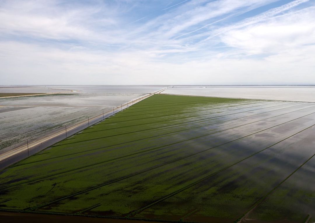 Aerial view of green and flooded agricultural land, with cloudy blue sky above, showing field patterns and distant horizon.