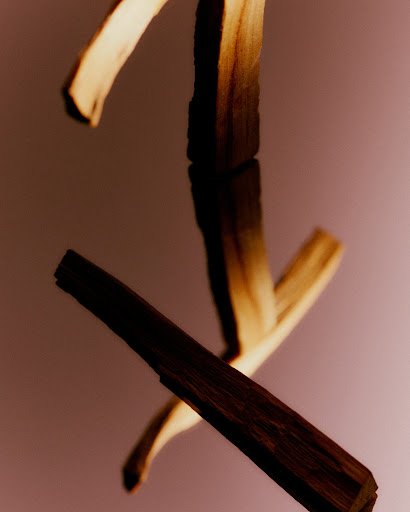 Palo santo incense sticks displayed against a reflective surface and soft mauve background, showcasing natural wood tones and a zen-like composition.