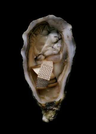 Diamond encrusted gold ring resting inside an open raw oyster shell against a pitch black background
