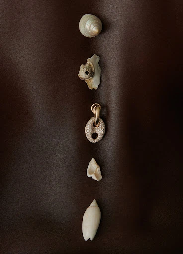 Still life of five seashells and a gold charm arranged vertically on a dark brown textile background, studio lighting, neutral colors.