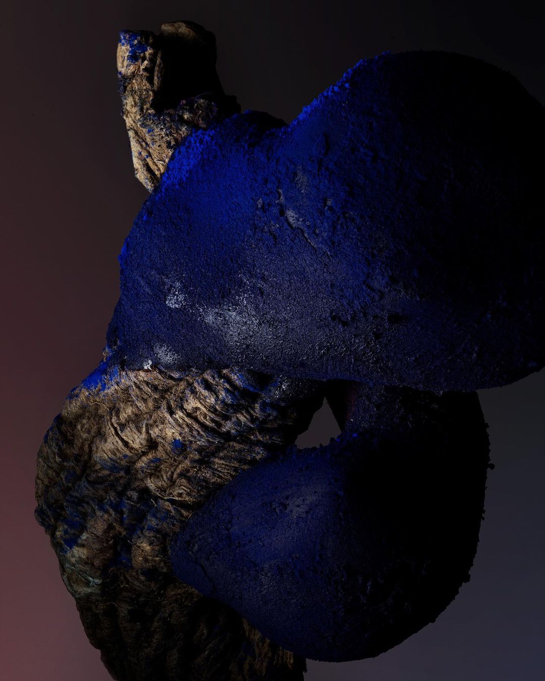 Abstract sculpture in dark studio featuring textured brown base and deep blue organic forms, creating a mysterious and artistic visual.