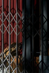 Close-up of a dark metal security gate with a diamond lattice pattern casting sharp shadows against a red wall.
