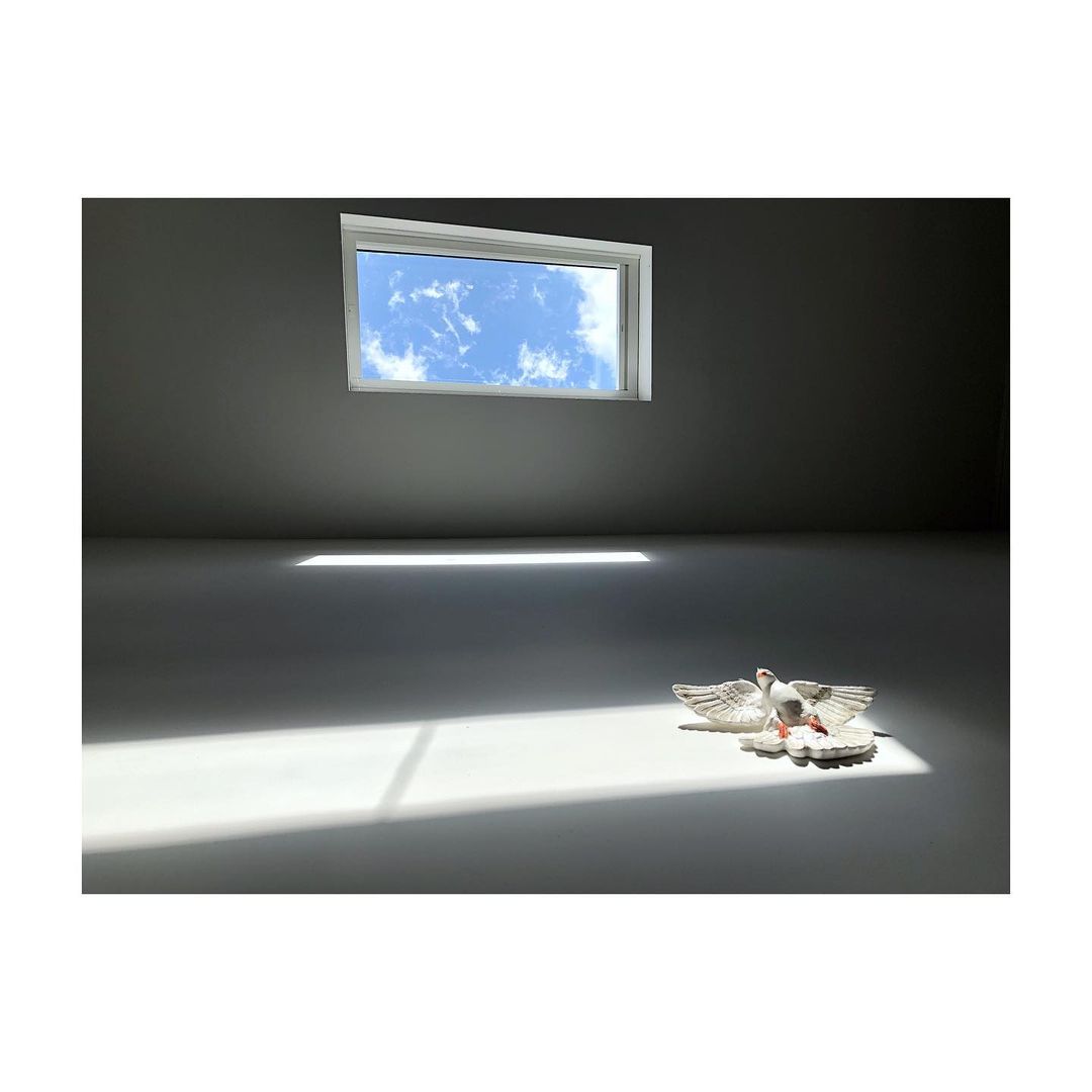 Indoor photo featuring a window revealing a blue sky, casting bright sunlight onto an empty room, with two decorative white doves.