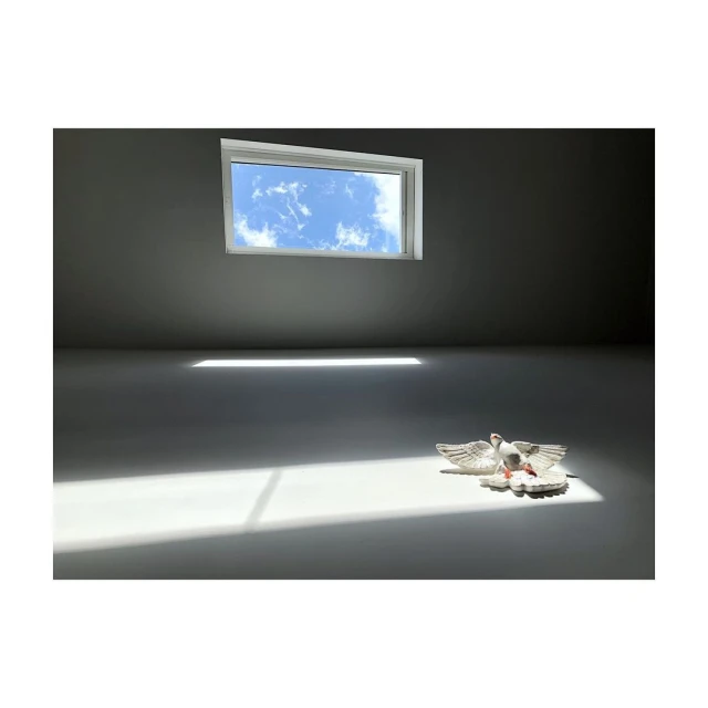 Indoor photo featuring a window revealing a blue sky, casting bright sunlight onto an empty room, with two decorative white doves.