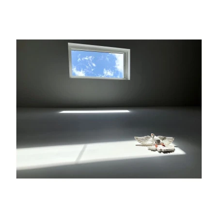 Indoor photo featuring a window revealing a blue sky, casting bright sunlight onto an empty room, with two decorative white doves.