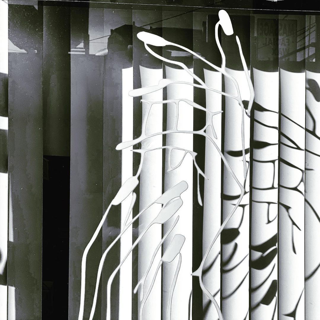 Black and white abstract art featuring fluid lines, contrasted by vertical stripes, creating a visually complex and intriguing composition.