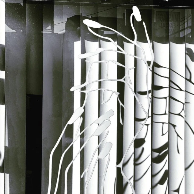 Black and white abstract art featuring fluid lines, contrasted by vertical stripes, creating a visually complex and intriguing composition.