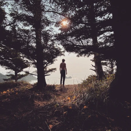A solitary, shirtless man gazes toward the ocean from a forest bluff, captured in a moody, natural-light photograph with silhouetted trees.