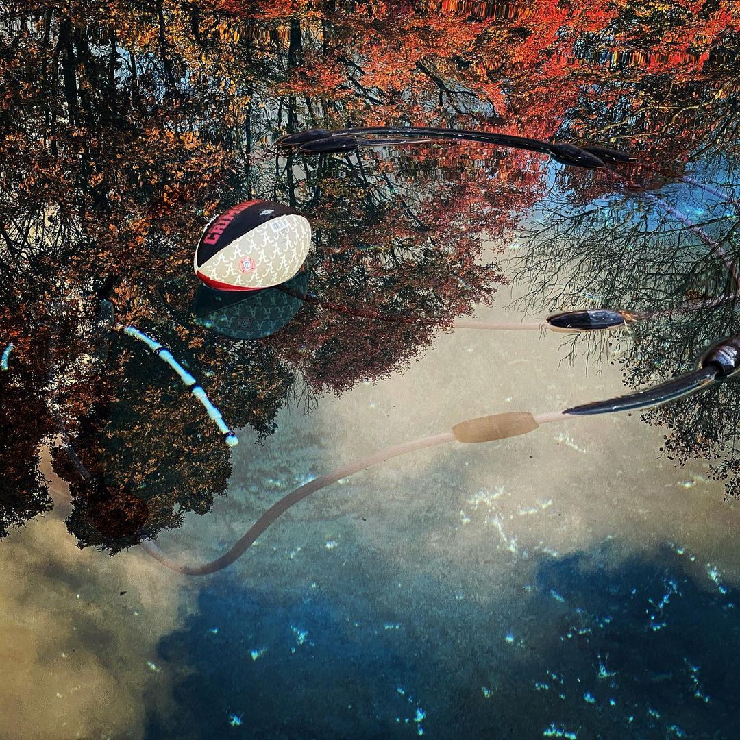 Eye-level view in nature with an american football floating in water reflecting the trees, blue sky, and fall foliage.